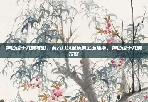 神仙道十九妹攻略,从入门到登顶的全面指南,神仙道十九妹攻略