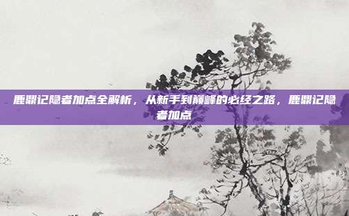 鹿鼎记隐者加点全解析,从新手到巅峰的必经之路,鹿鼎记隐者加点