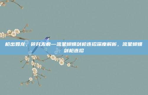 枪出如龙,碎月无痕—流星蝴蝶剑枪连招深度解析,流星蝴蝶剑枪连招