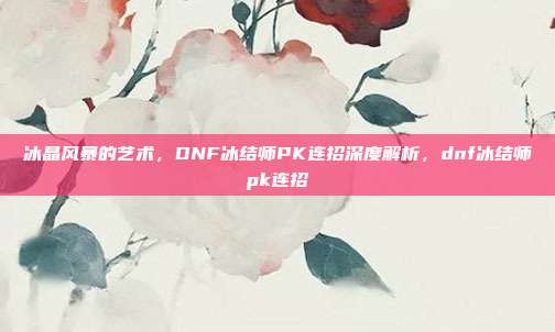冰晶风暴的艺术,DNF冰结师PK连招深度解析,dnf冰结师pk连招