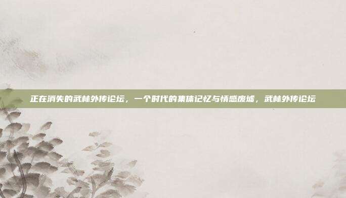 正在消失的武林外传论坛,一个时代的集体记忆与情感废墟,武林外传论坛