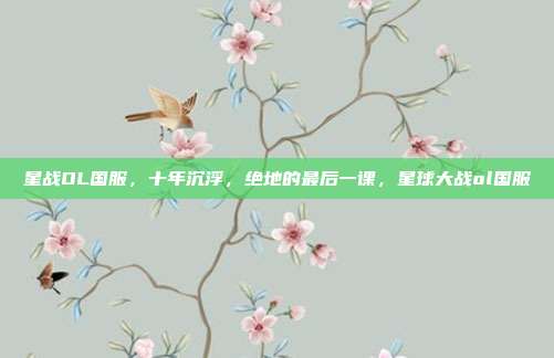 星战OL国服，十年沉浮，绝地的最后一课，星球大战ol国服