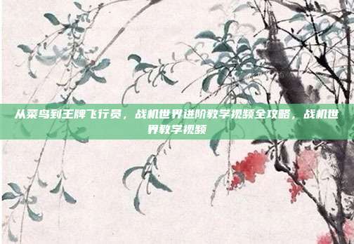 从菜鸟到王牌飞行员，战机世界进阶教学视频全攻略，战机世界教学视频