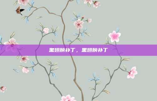 黑翅膀补丁,黑翅膀补丁