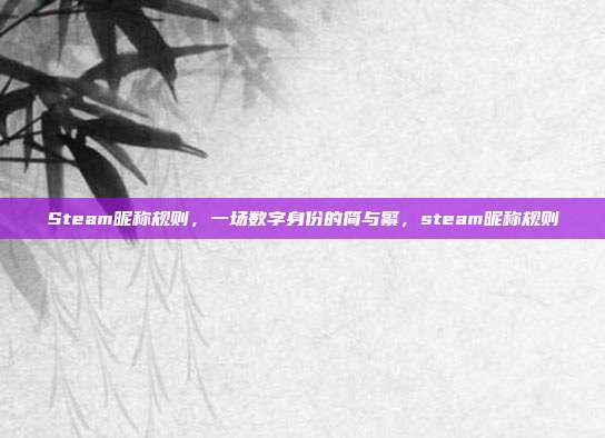Steam昵称规则，一场数字身份的简与繁，steam昵称规则
