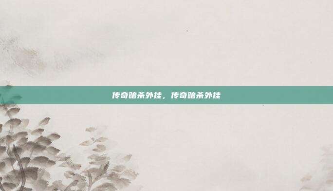 传奇暗杀外挂,传奇暗杀外挂