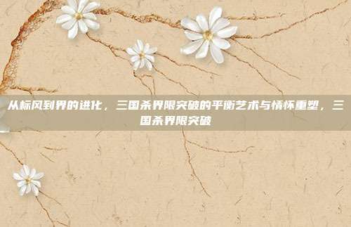 从标风到界的进化，三国杀界限突破的平衡艺术与情怀重塑，三国杀界限突破