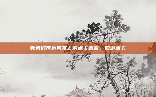致我们再也回不去的点卡青春,网游点卡
