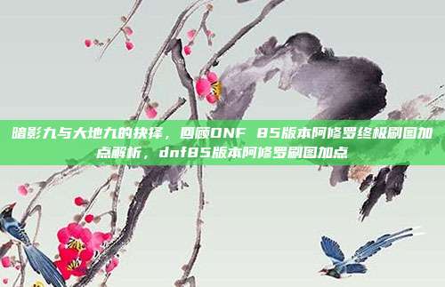 暗影九与大地九的抉择，回顾DNF 85版本阿修罗终极刷图加点解析，dnf85版本阿修罗刷图加点