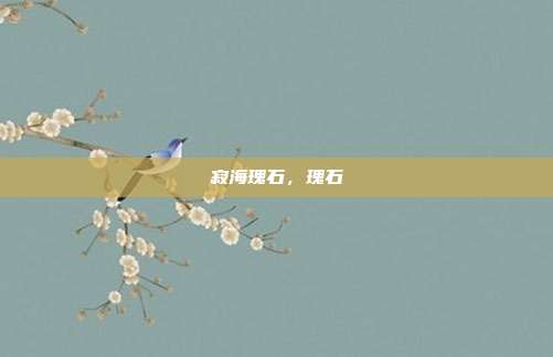 寂海瑰石，瑰石