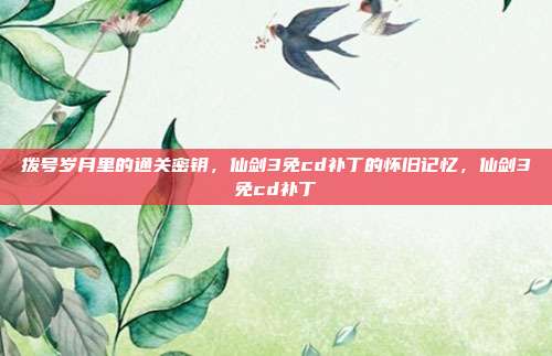 拨号岁月里的通关密钥，仙剑3免cd补丁的怀旧记忆，仙剑3免cd补丁
