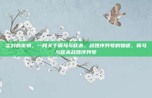尘封的密钥，一段关于骑马与砍杀，战团序列号的物语，骑马与砍杀战团序列号