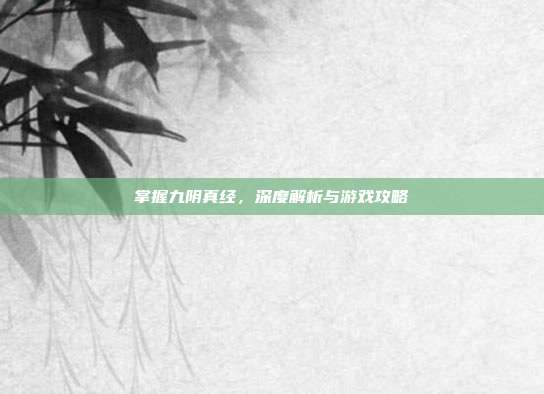 掌握九阴真经,深度解析与游戏攻略