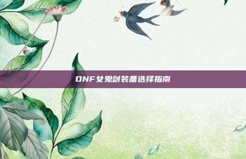 DNF女鬼剑装备选择指南