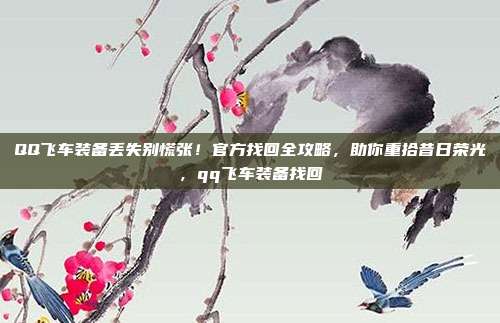 QQ飞车装备丢失别慌张！官方找回全攻略，助你重拾昔日荣光，qq飞车装备找回