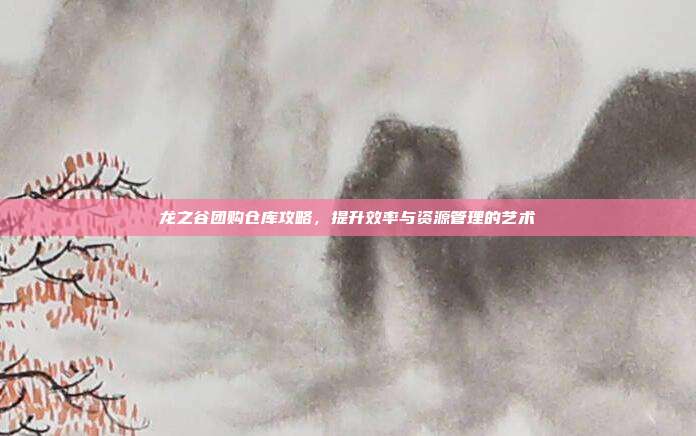 龙之谷团购仓库攻略,提升效率与资源管理的艺术