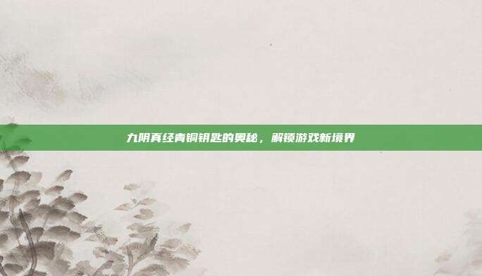 九阴真经青铜钥匙的奥秘，解锁游戏新境界