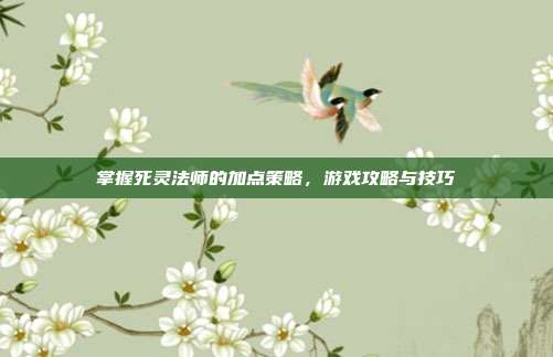 掌握死灵法师的加点策略，游戏攻略与技巧