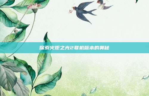 探索火炬之光2联机版本的奥秘