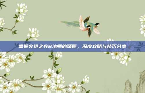 掌握火炬之光2法师的精髓，深度攻略与技巧分享