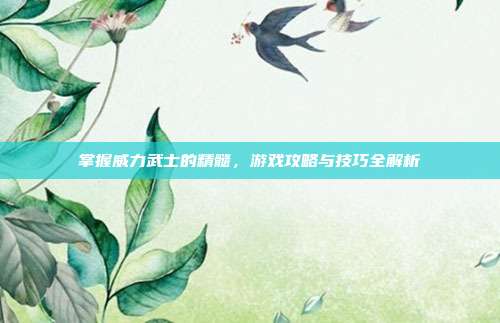 掌握威力武士的精髓,游戏攻略与技巧全解析