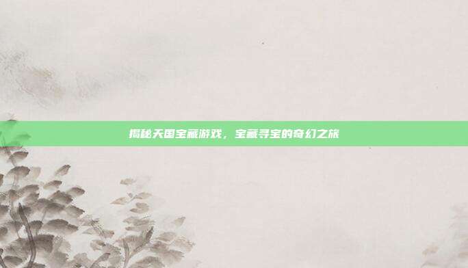 揭秘天国宝藏游戏，宝藏寻宝的奇幻之旅