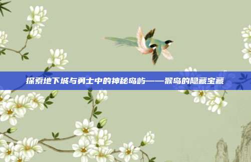 探索地下城与勇士中的神秘岛屿——猴岛的隐藏宝藏