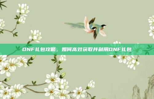 DNF礼包攻略，如何高效获取并利用DNF礼包