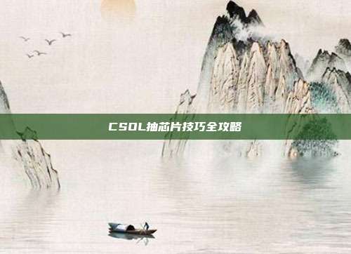 CSOL抽芯片技巧全攻略