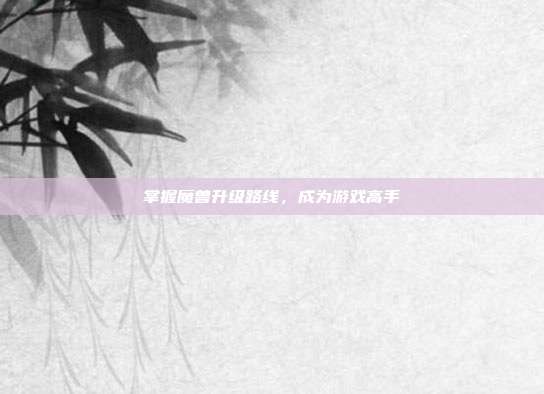 掌握魔兽升级路线，成为游戏高手