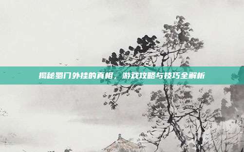 揭秘蜀门外挂的真相，游戏攻略与技巧全解析