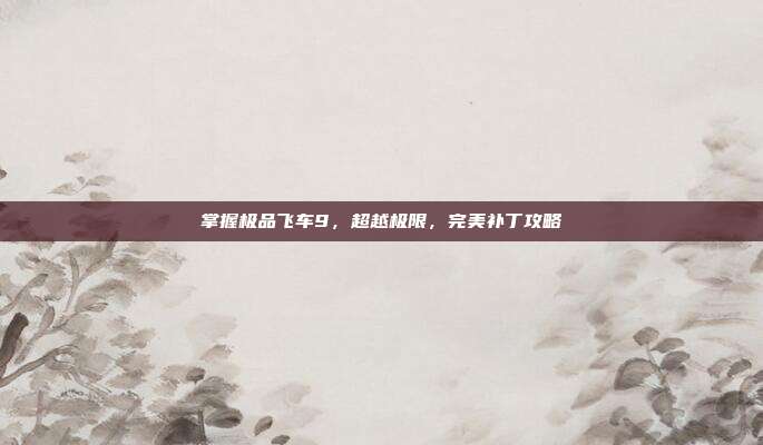 掌握极品飞车9，超越极限，完美补丁攻略