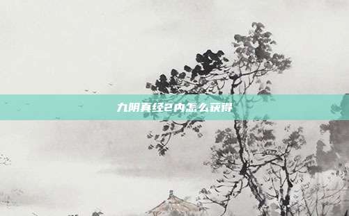 九阴真经2内怎么获得