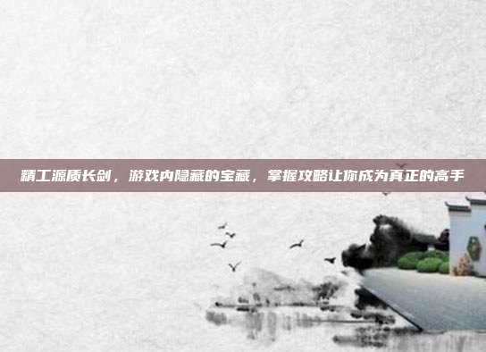 精工源质长剑，游戏内隐藏的宝藏，掌握攻略让你成为真正的高手