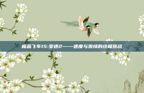 极品飞车15:变速2——速度与激情的终极挑战