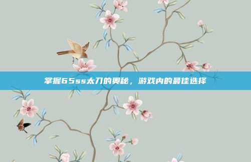 掌握65ss太刀的奥秘,游戏内的最佳选择