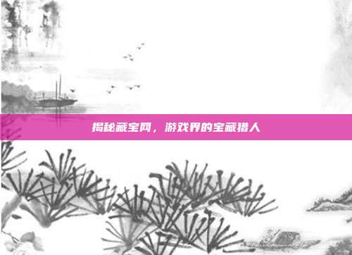 揭秘藏宝网,游戏界的宝藏猎人