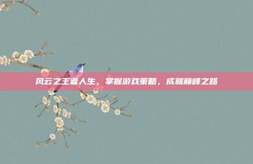 风云之王者人生,掌握游戏策略,成就巅峰之路