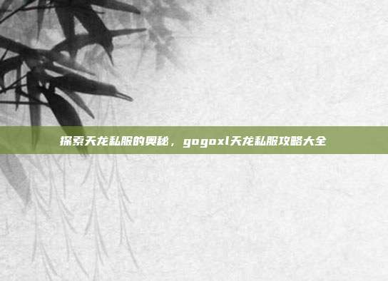 探索天龙私服的奥秘，gogoxl天龙私服攻略大全
