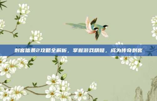 刺客信条2攻略全解析,掌握游戏精髓,成为传奇刺客