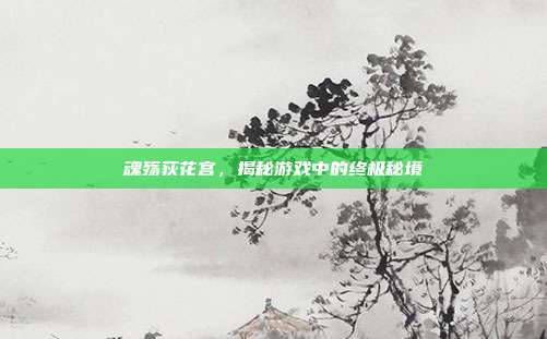 魂殇荻花宫,揭秘游戏中的终极秘境