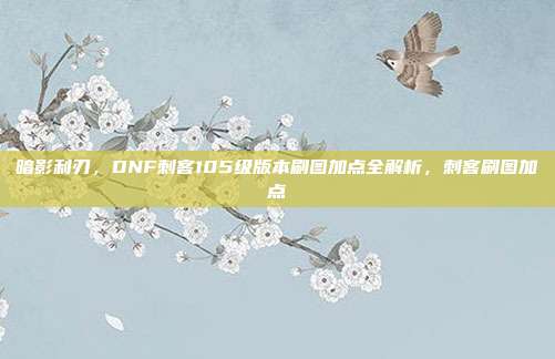 暗影利刃，DNF刺客105级版本刷图加点全解析，刺客刷图加点