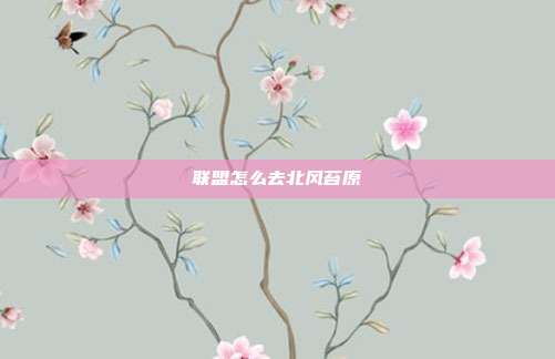联盟怎么去北风苔原