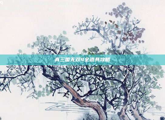 真三国无双4全道具攻略