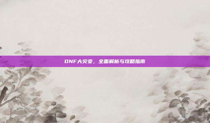 DNF大灾变,全面解析与攻略指南