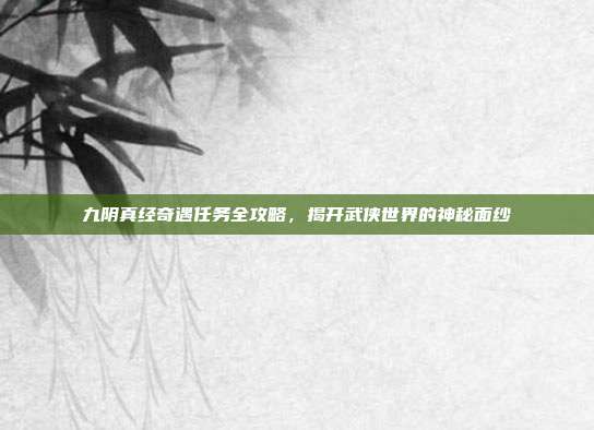 九阴真经奇遇任务全攻略,揭开武侠世界的神秘面纱