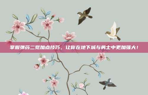 掌握弹药二觉加点技巧,让你在地下城与勇士中更加强大!