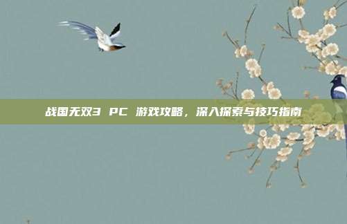 战国无双3 PC 游戏攻略，深入探索与技巧指南
