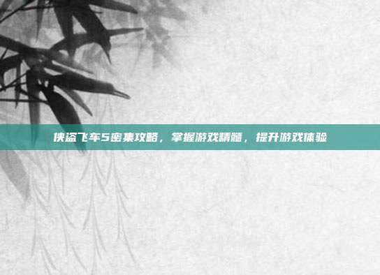 侠盗飞车5密集攻略,掌握游戏精髓,提升游戏体验