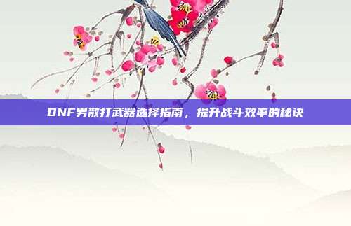 DNF男散打武器选择指南,提升战斗效率的秘诀
